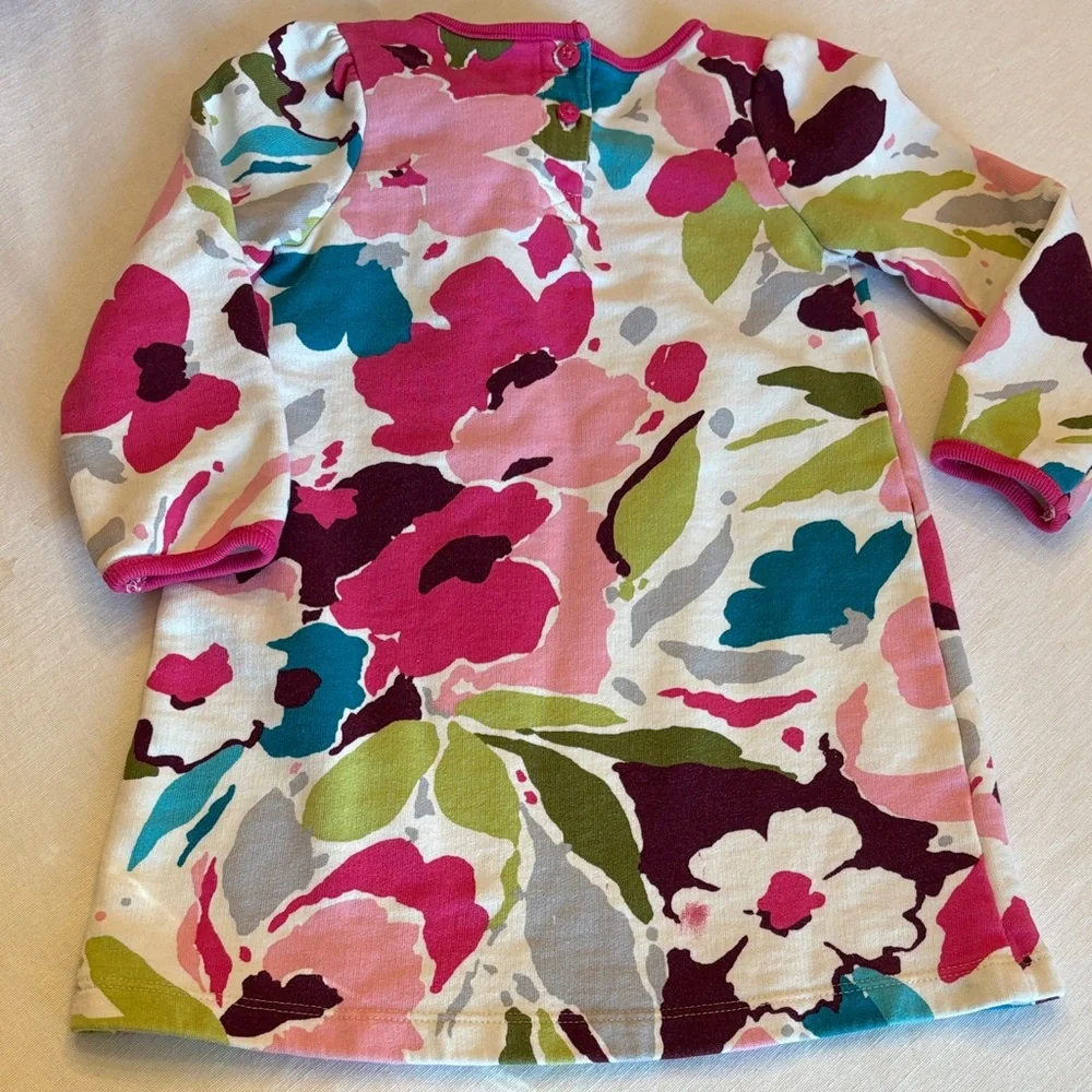 Gymboree Floral Long Sleeve Sweatshirt Dress